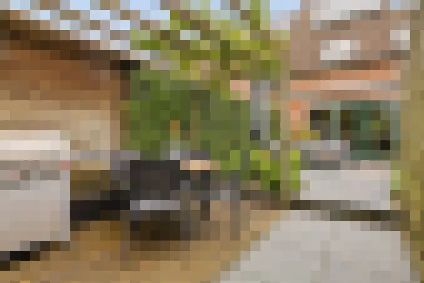 Stapelen 20 's-Hertogenbosch thumbnail 30