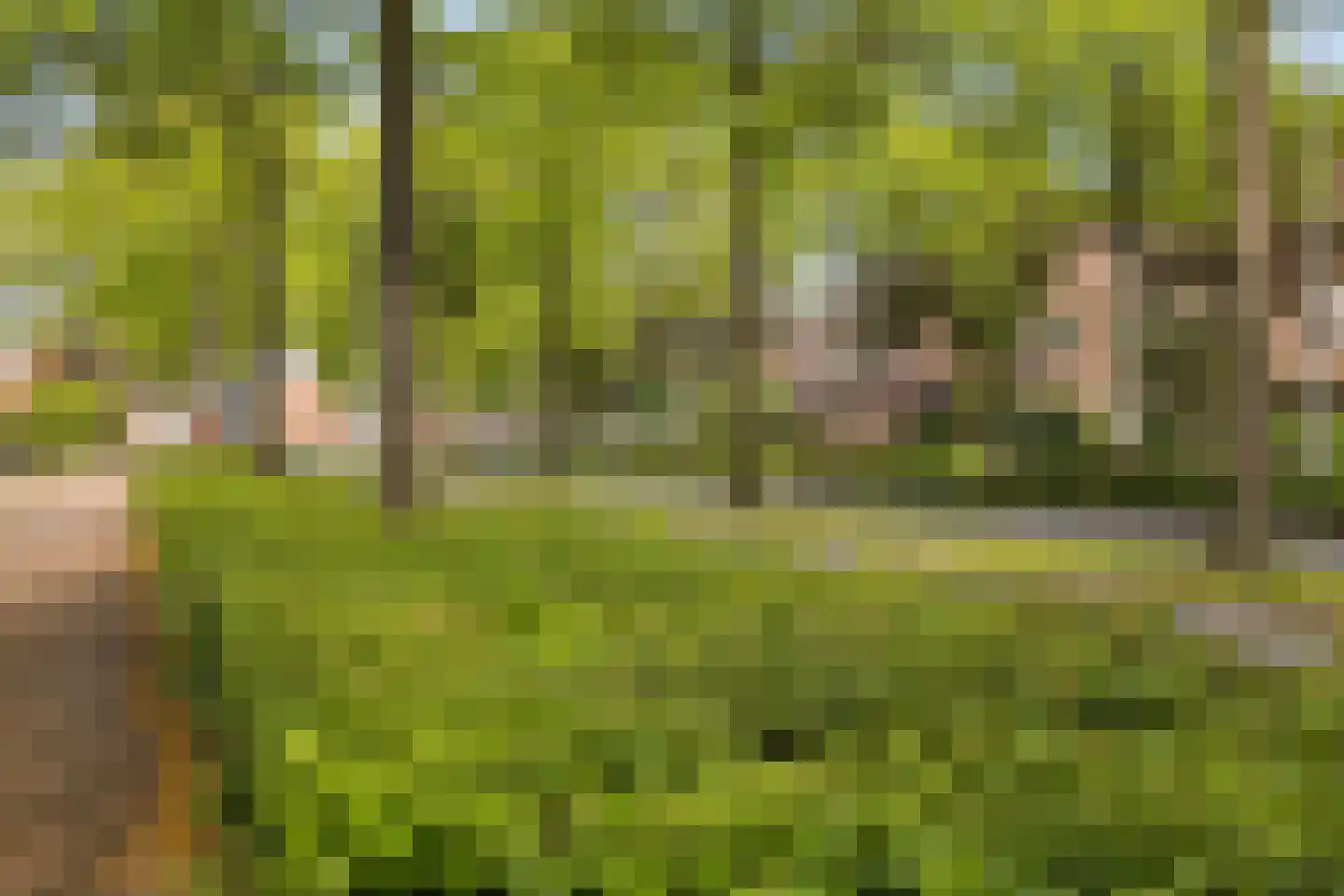 Stapelen 20 's-Hertogenbosch thumbnail 35