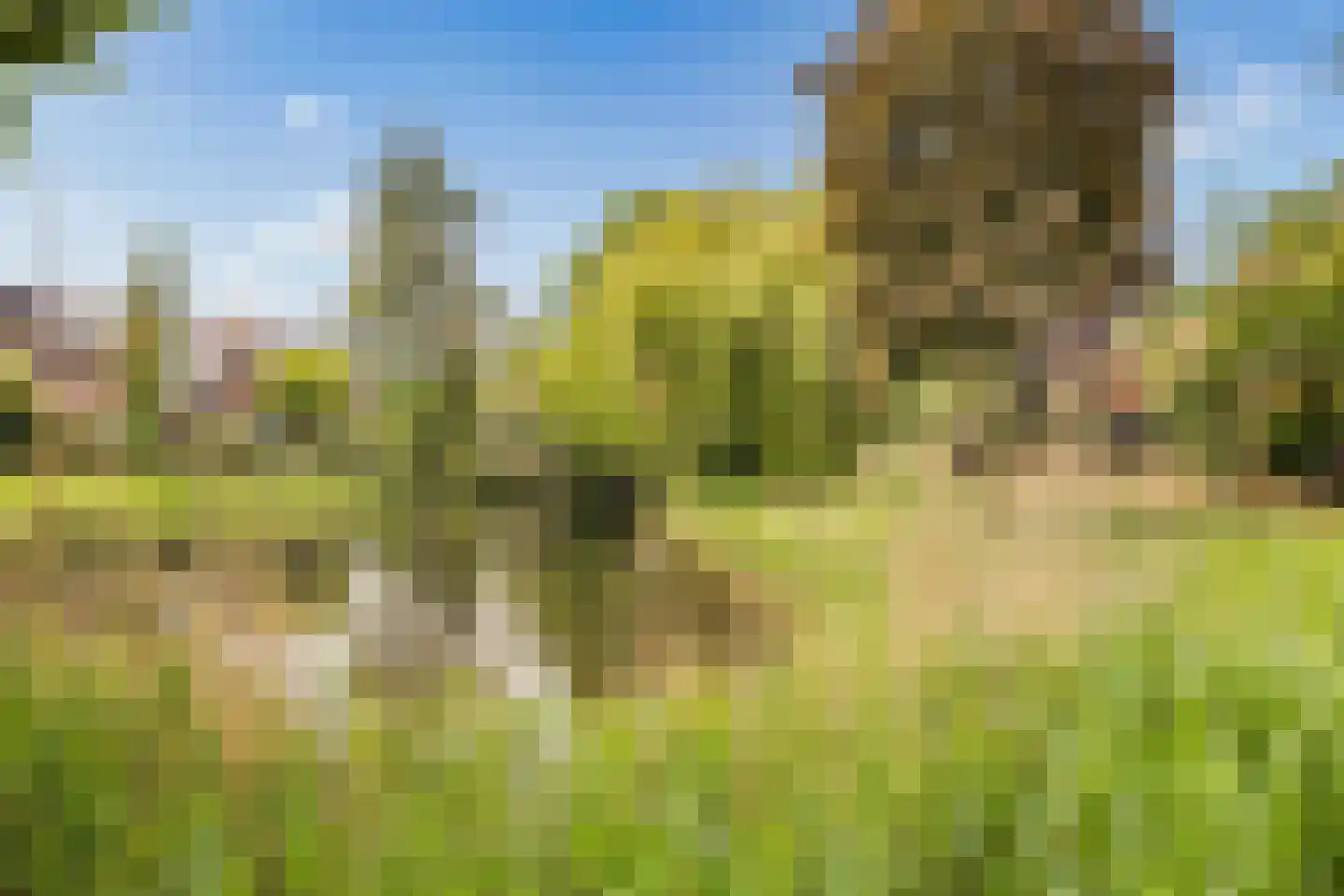 Stapelen 20 's-Hertogenbosch thumbnail 36