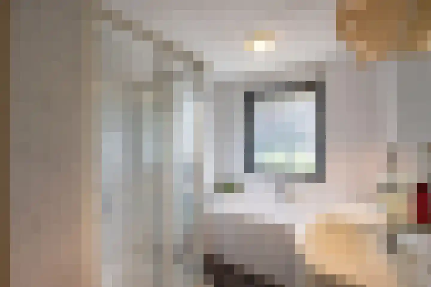 Stapelen 3 Udenhout thumbnail 24