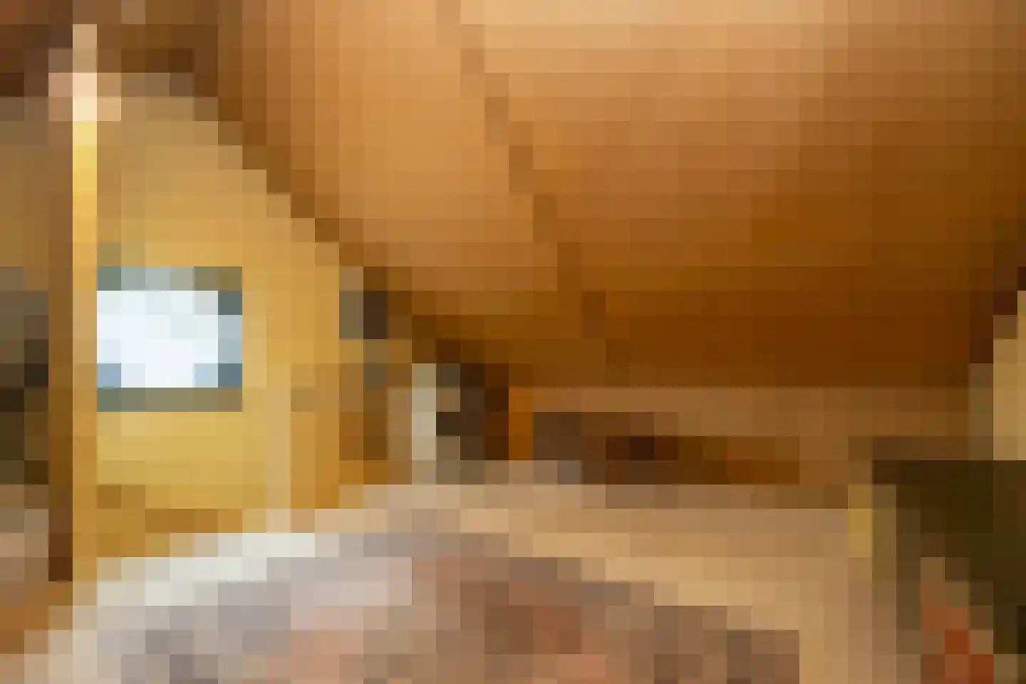 Stapelen 3 Udenhout thumbnail 25