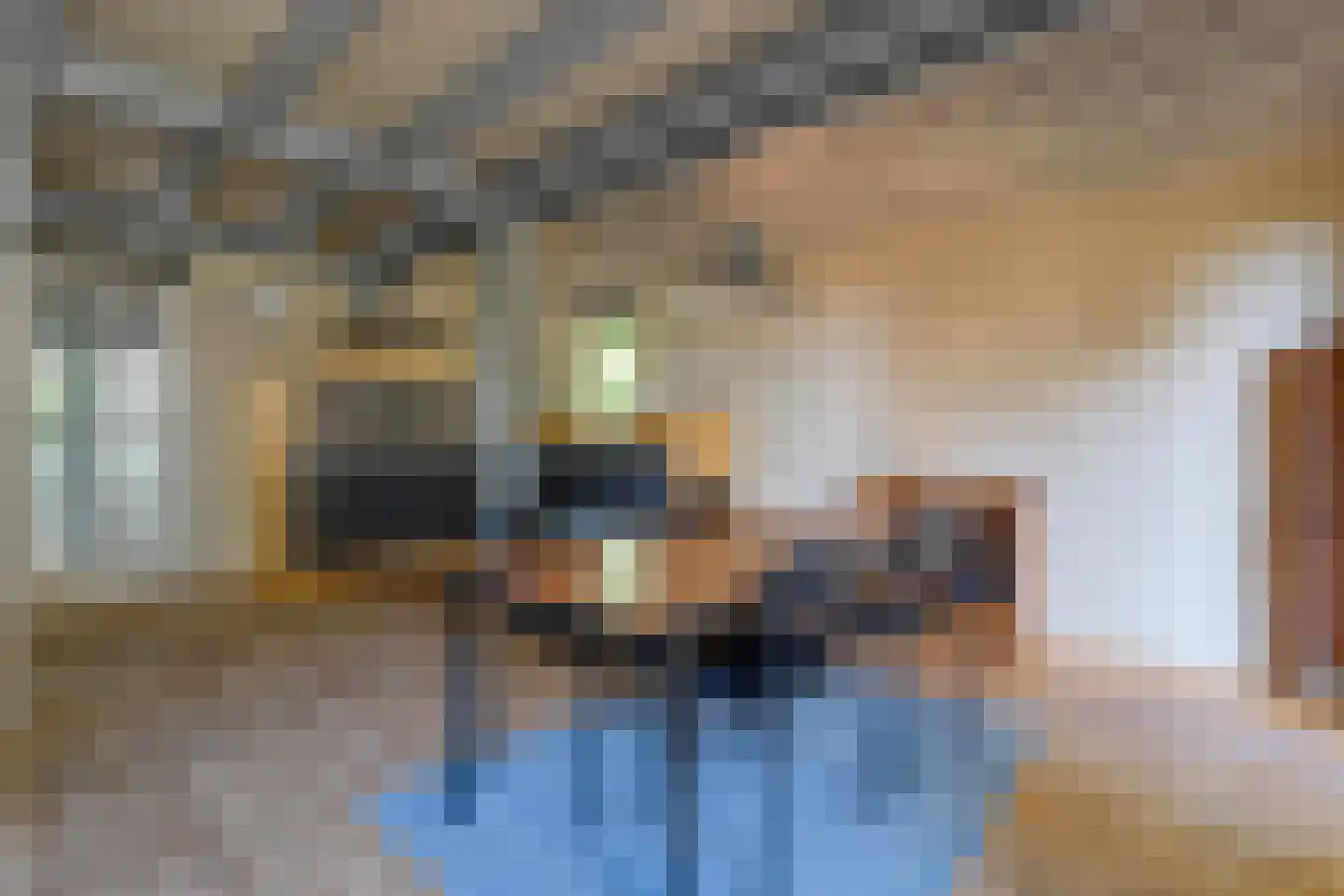 Stapelerveldweg 12 de Wijk thumbnail 17