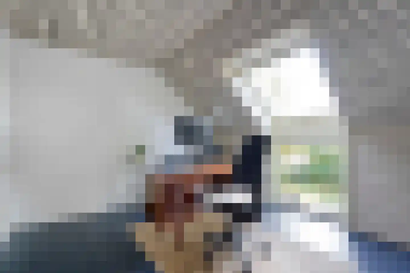 Stapelerveldweg 12 de Wijk thumbnail 22