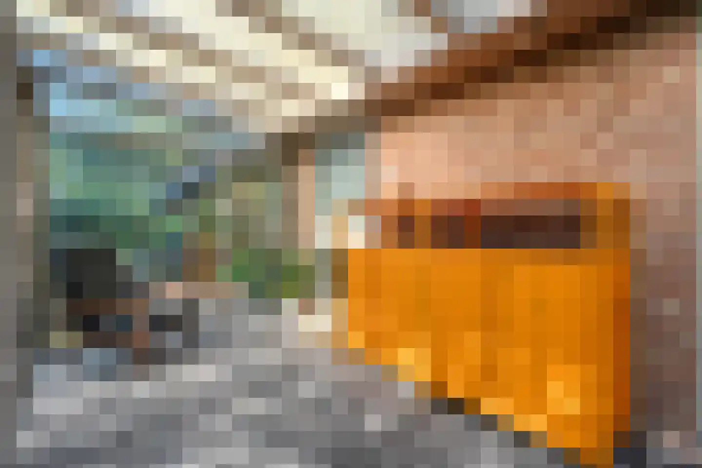 Stapelerveldweg 12 de Wijk thumbnail 23