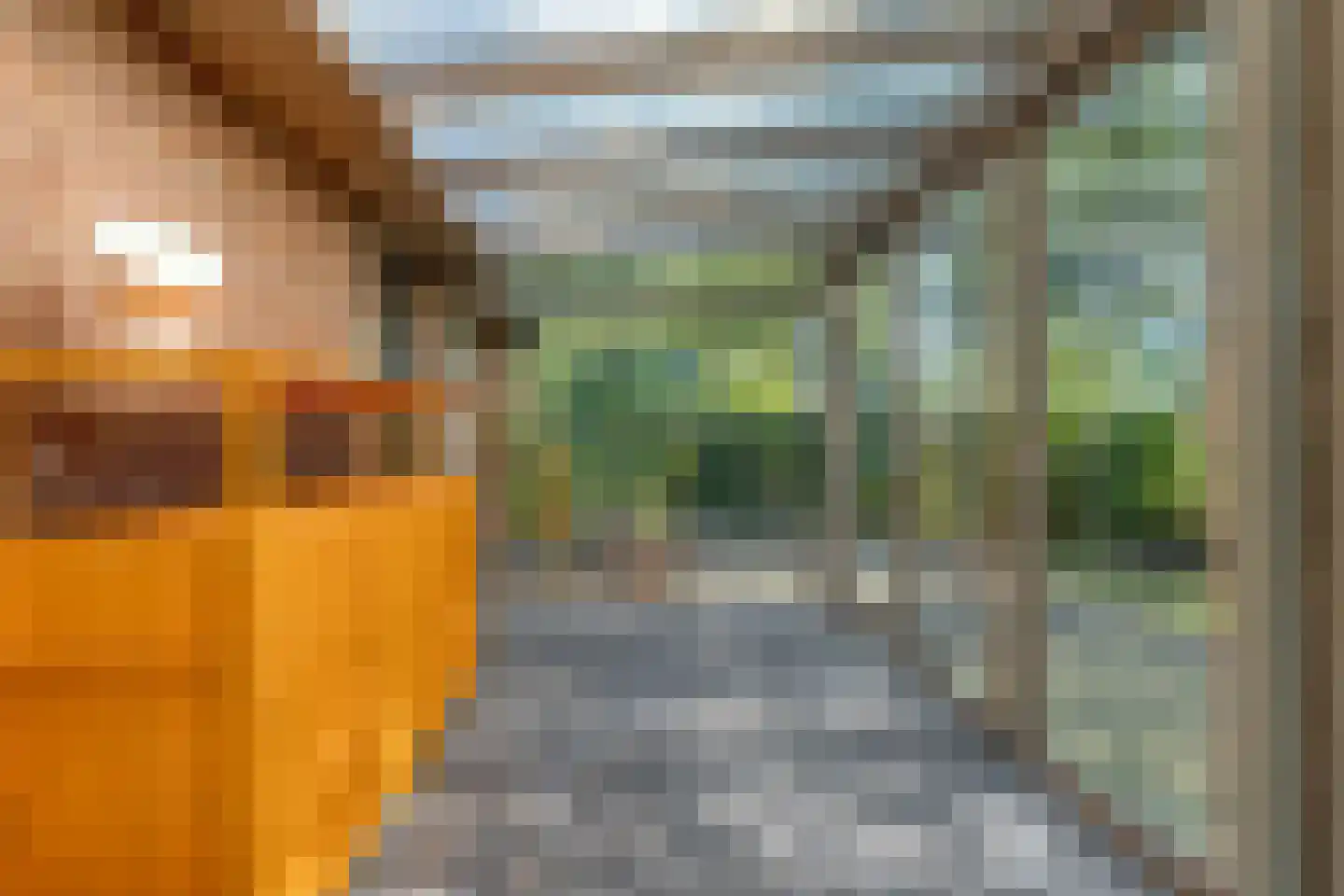 Stapelerveldweg 12 de Wijk thumbnail 24