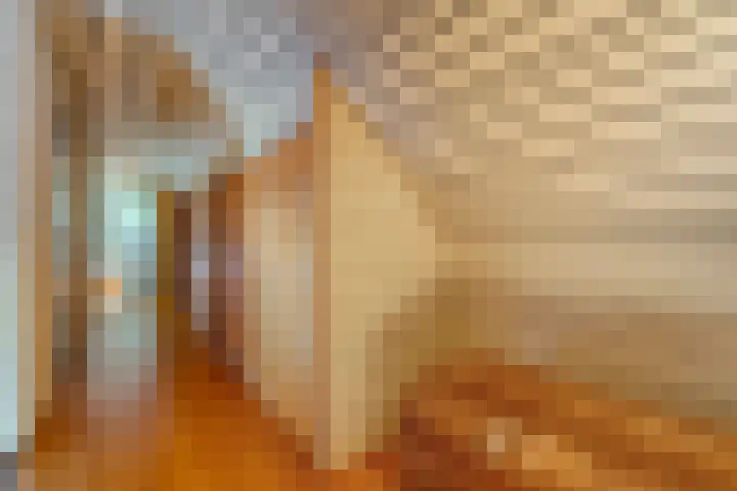 Stapelerveldweg 12 de Wijk thumbnail 27
