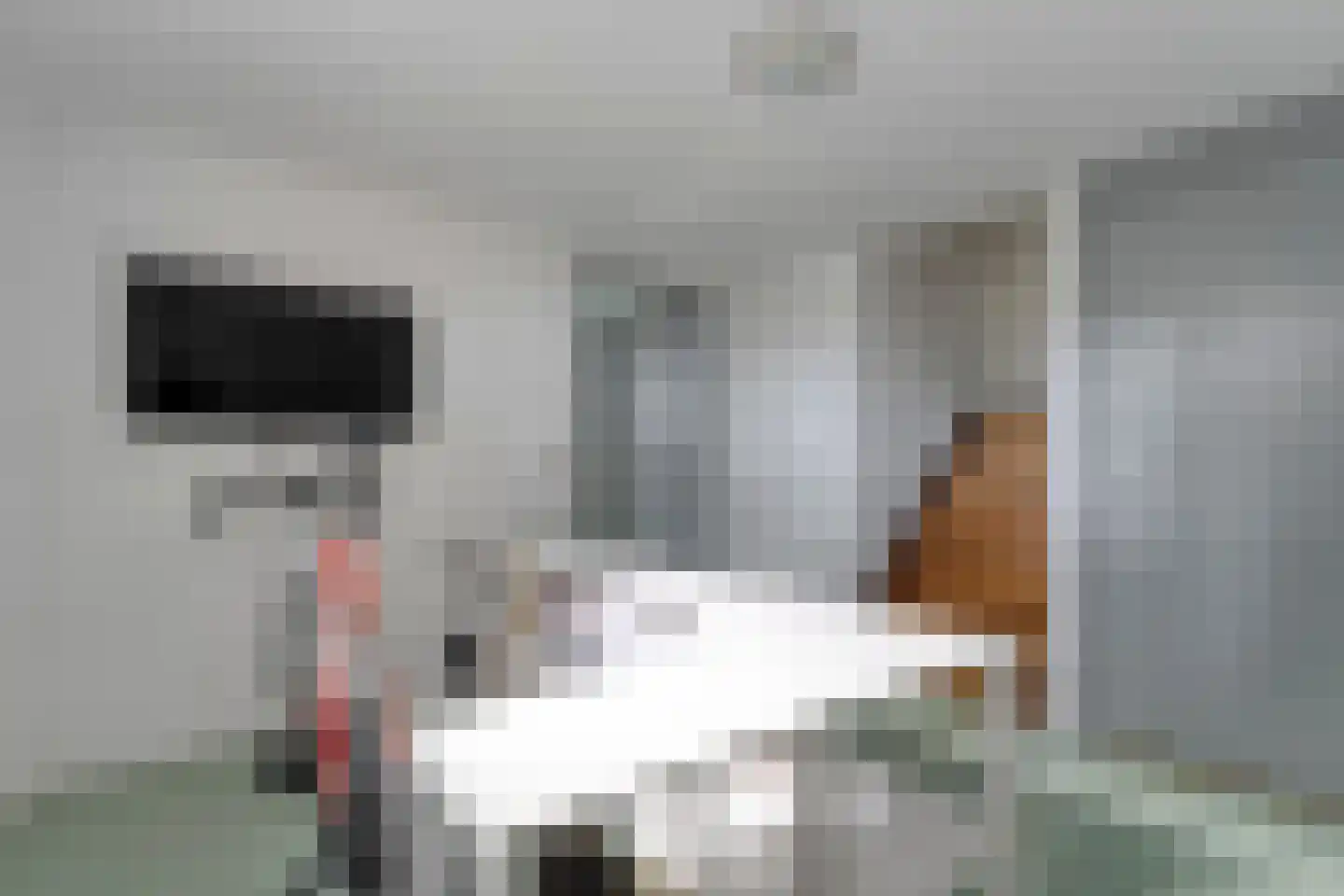 Stapelerveldweg 12 de Wijk thumbnail 36