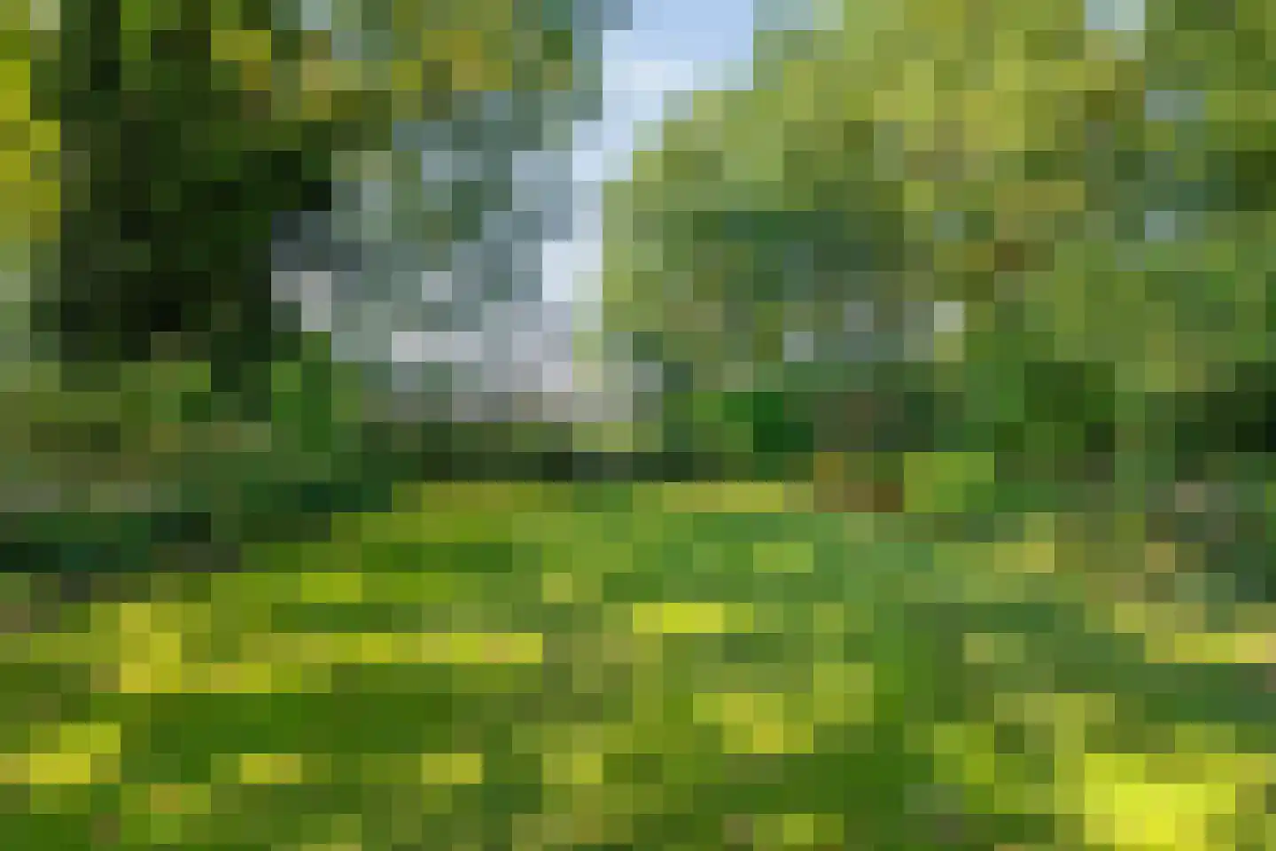 Stapelerveldweg 12 de Wijk thumbnail 42