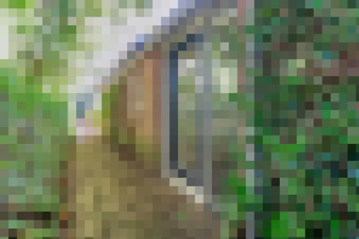Stapelerveldweg 12 de Wijk thumbnail 44