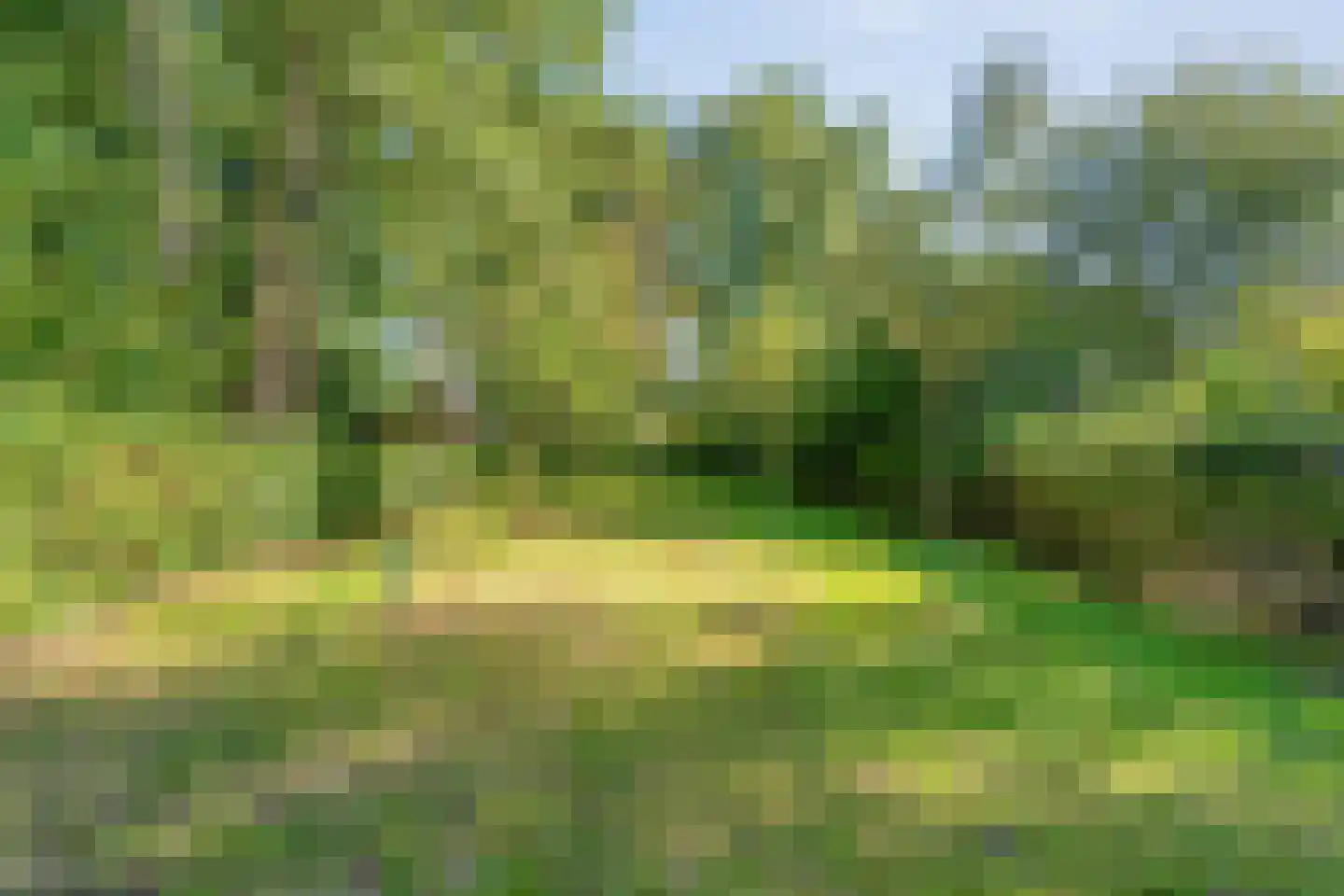 Stapelerveldweg 12 de Wijk thumbnail 45