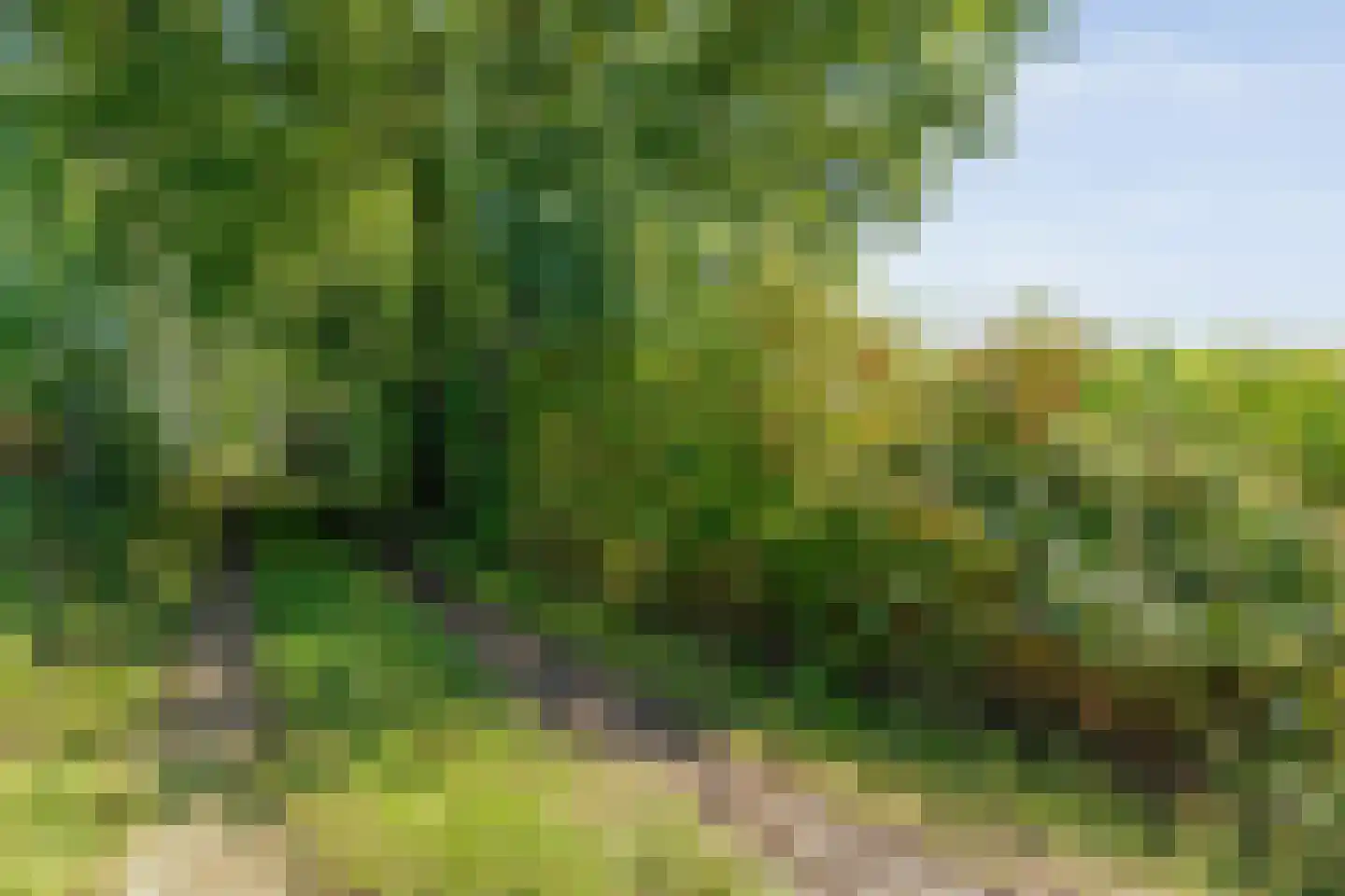 Stapelerveldweg 12 de Wijk thumbnail 49