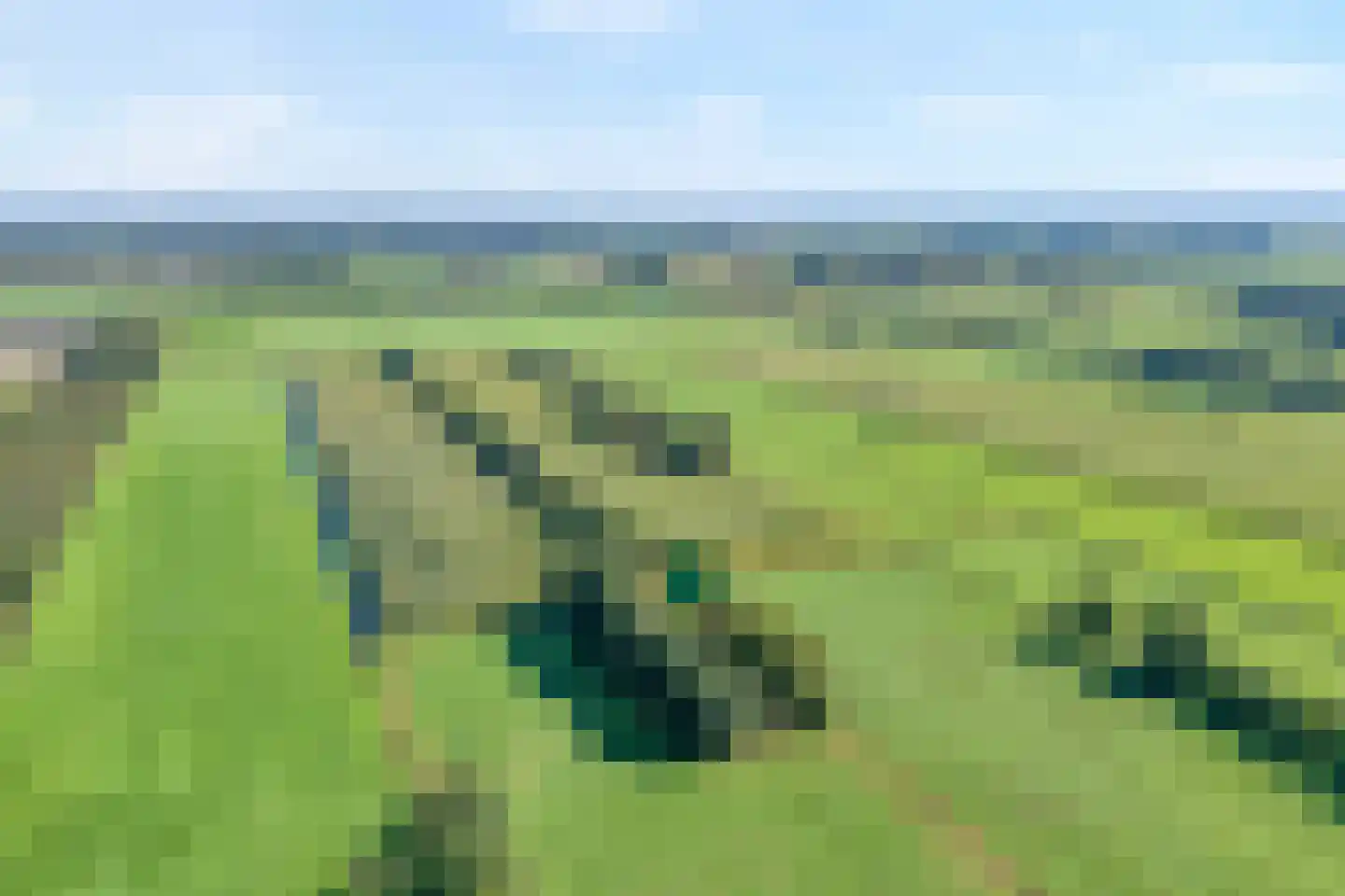 Stapelerveldweg 12 de Wijk thumbnail 5