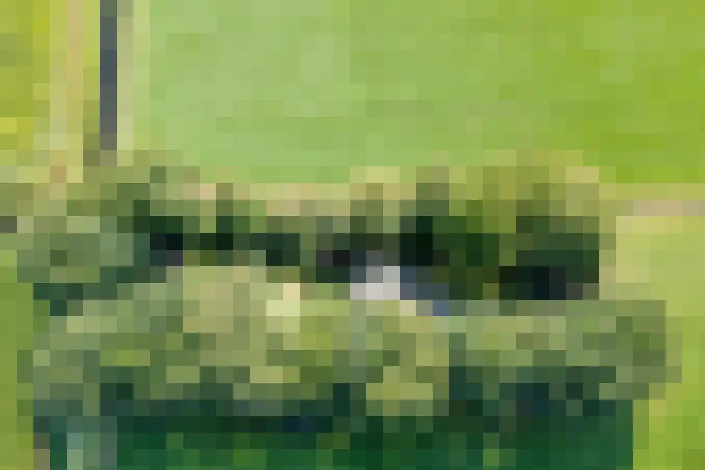 Stapelerveldweg 12 de Wijk thumbnail 51