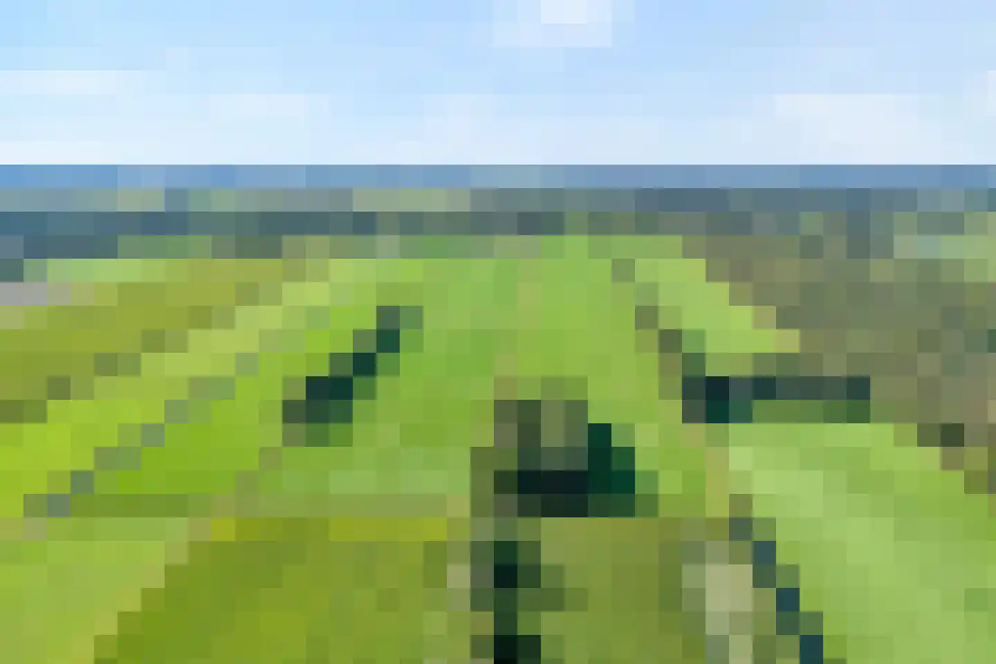 Stapelerveldweg 12 de Wijk thumbnail 52
