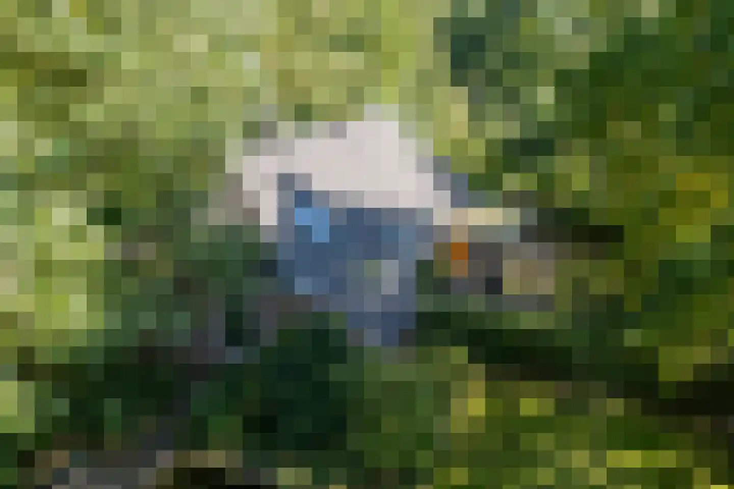 Stapelerveldweg 12 de Wijk thumbnail 6