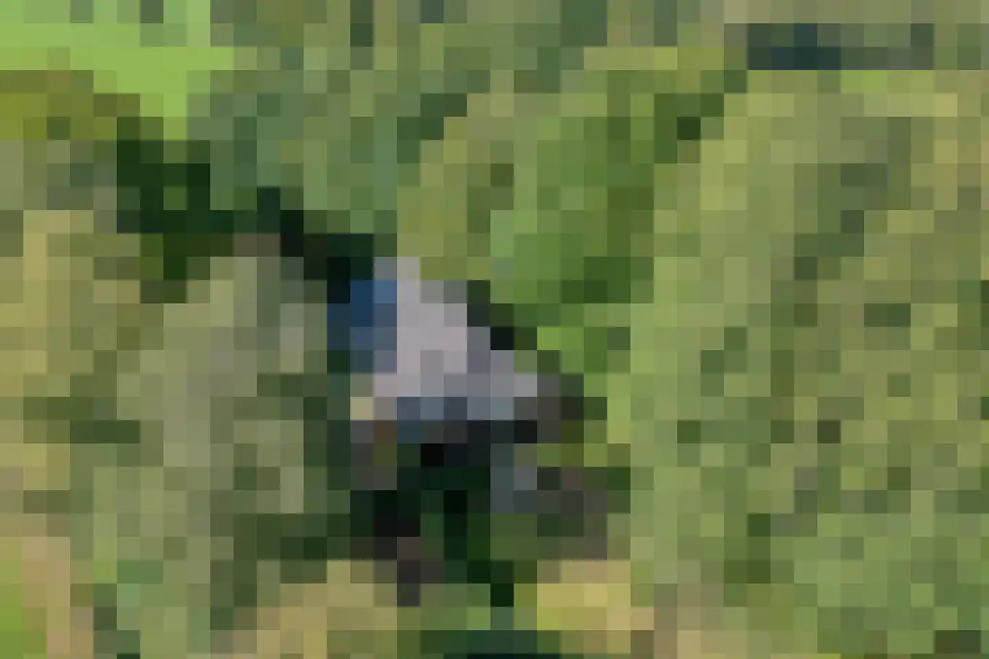 Stapelerveldweg 12 de Wijk thumbnail 7