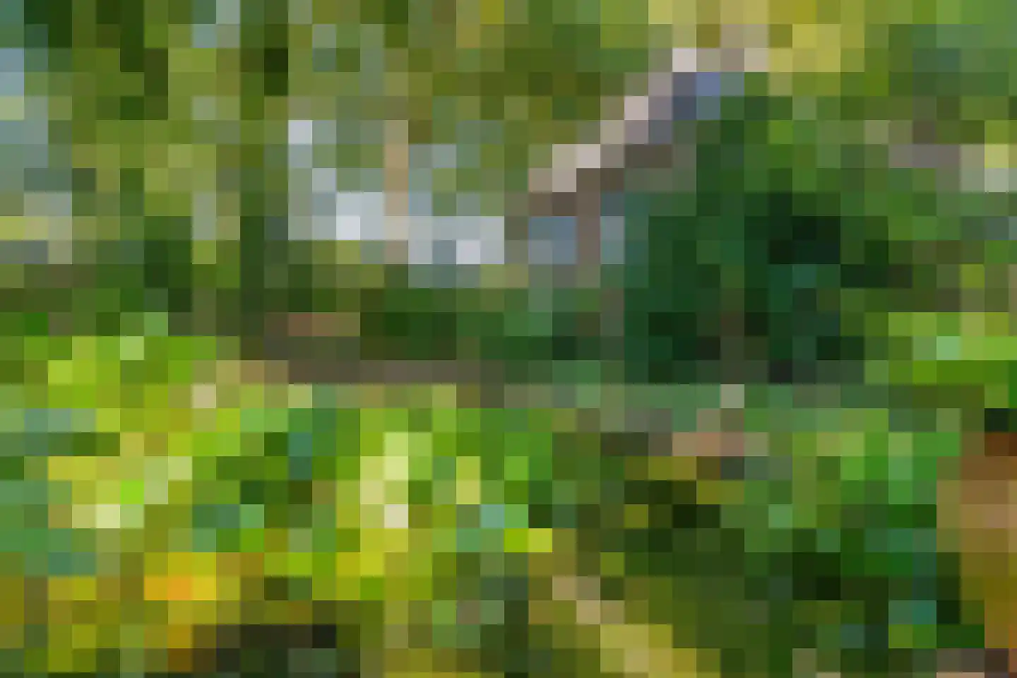 Stapelerveldweg 12 de Wijk thumbnail 9