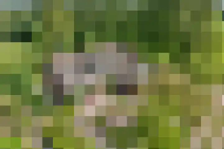 Stapelerveldweg 6 in de Wijk