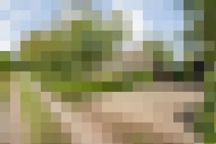 Stapelerveldweg 6 de Wijk thumbnail 11