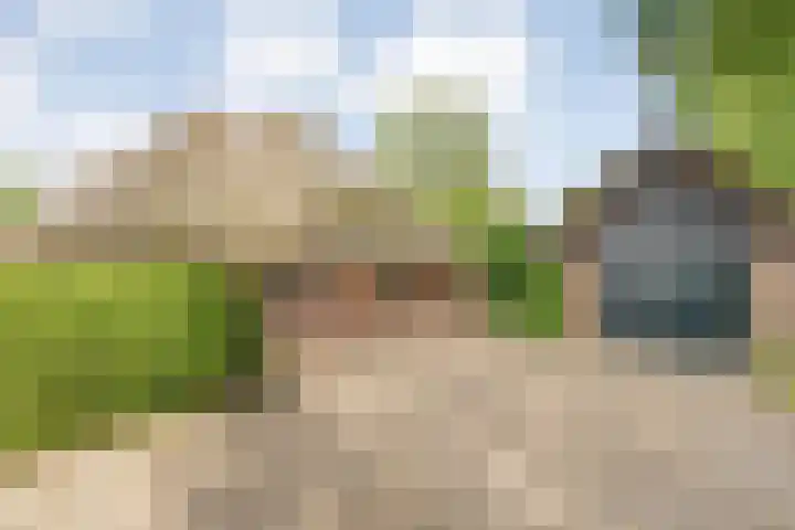 Stapelerveldweg 6 de Wijk thumbnail 12