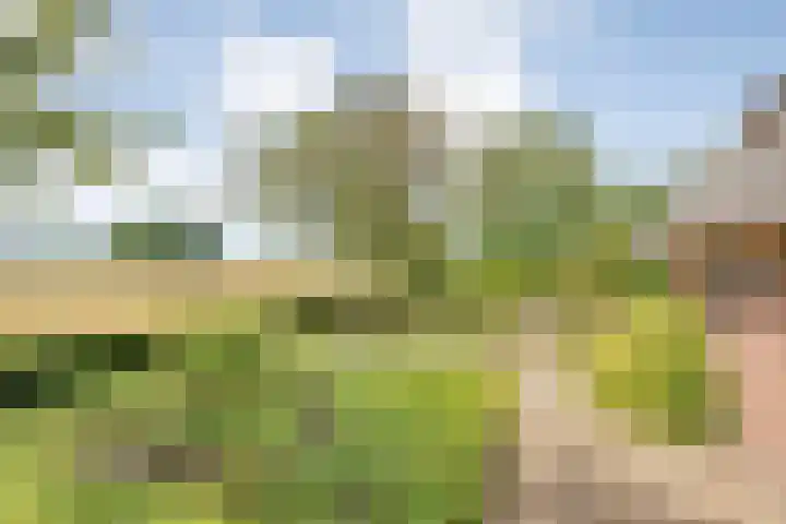 Stapelerveldweg 6 de Wijk thumbnail 13