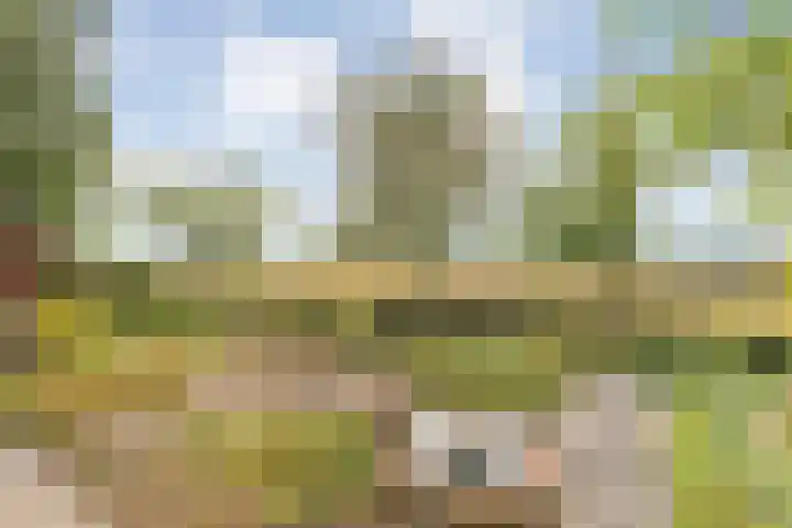 Stapelerveldweg 6 de Wijk thumbnail 14