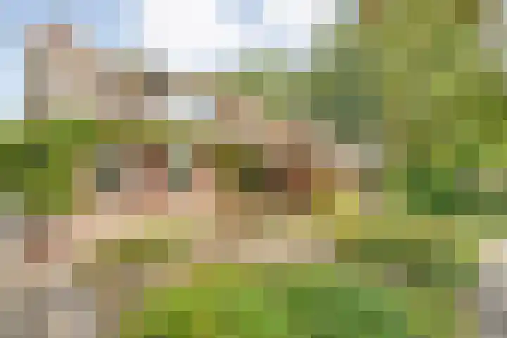 Stapelerveldweg 6 de Wijk thumbnail 15