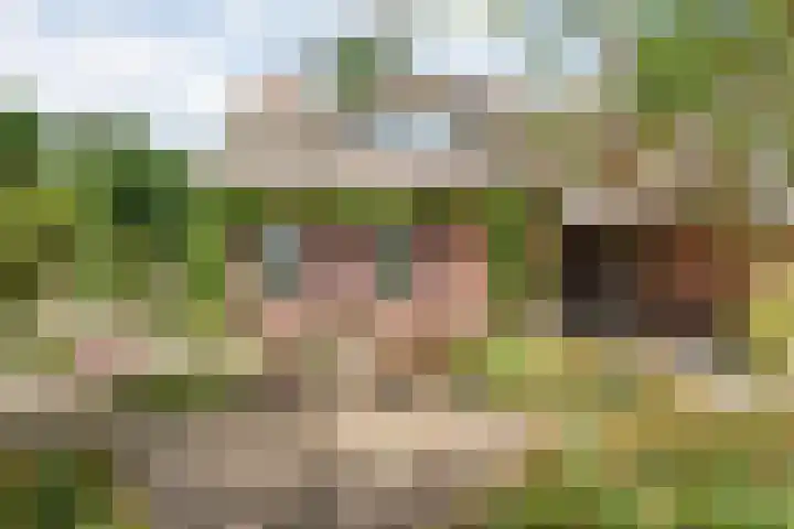 Stapelerveldweg 6 de Wijk thumbnail 16