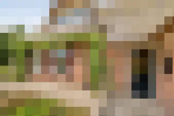 Stapelerveldweg 6 de Wijk thumbnail 17