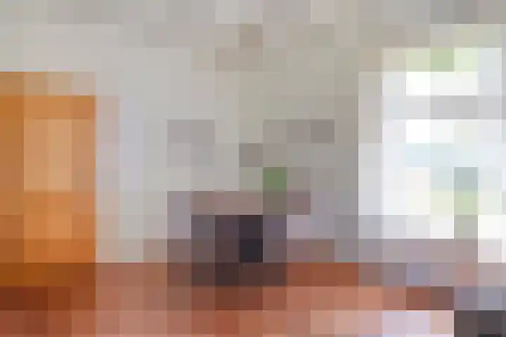 Stapelerveldweg 6 de Wijk thumbnail 23