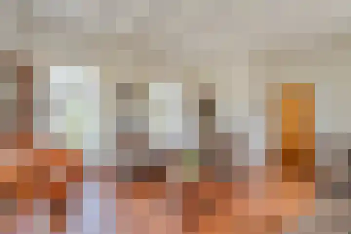 Stapelerveldweg 6 de Wijk thumbnail 25