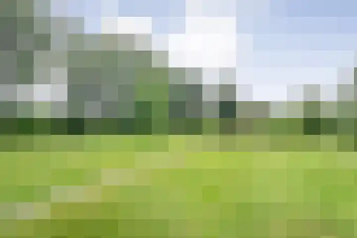 Stapelerveldweg 6 de Wijk foto 3