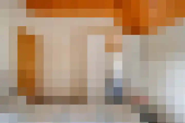 Stapelerveldweg 6 de Wijk thumbnail 31