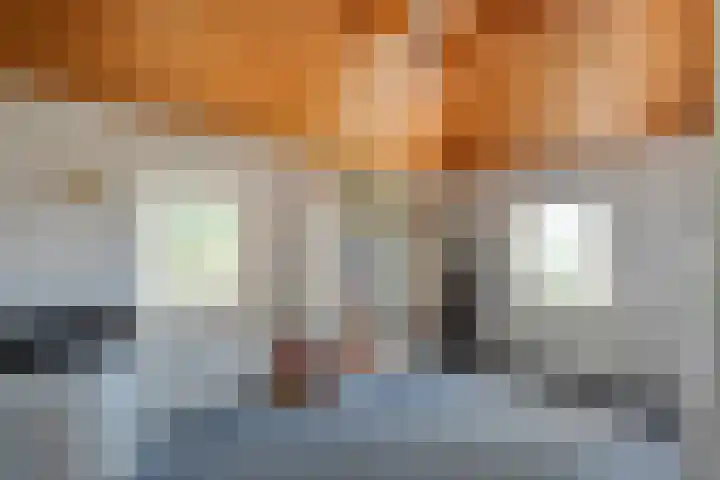 Stapelerveldweg 6 de Wijk thumbnail 32