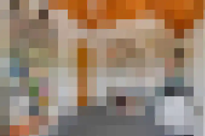 Stapelerveldweg 6 de Wijk thumbnail 33