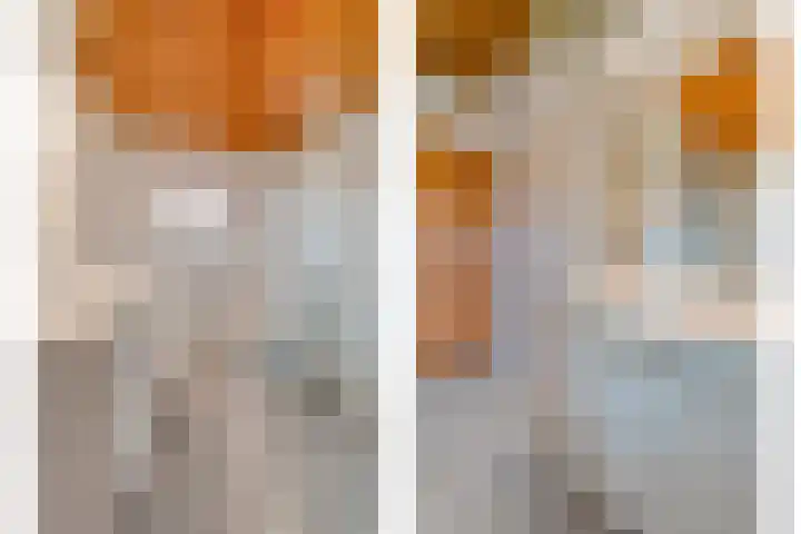 Stapelerveldweg 6 de Wijk thumbnail 34