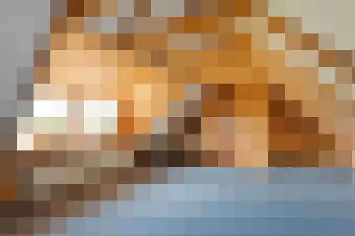 Stapelerveldweg 6 de Wijk thumbnail 37