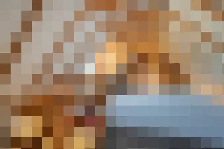 Stapelerveldweg 6 de Wijk thumbnail 38