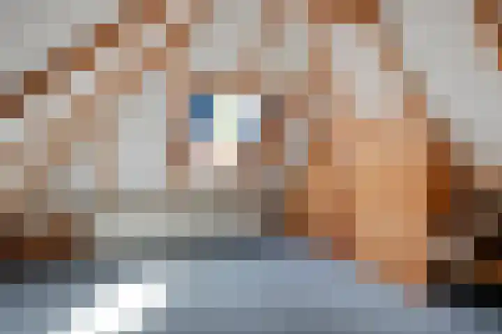 Stapelerveldweg 6 de Wijk thumbnail 39