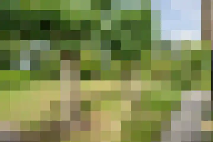 Stapelerveldweg 6 de Wijk thumbnail 41