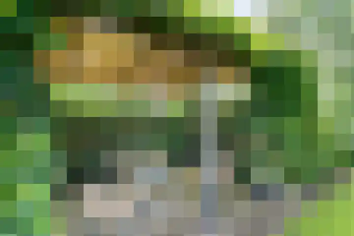 Stapelerveldweg 6 de Wijk thumbnail 42