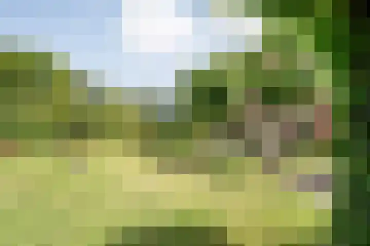 Stapelerveldweg 6 de Wijk thumbnail 43