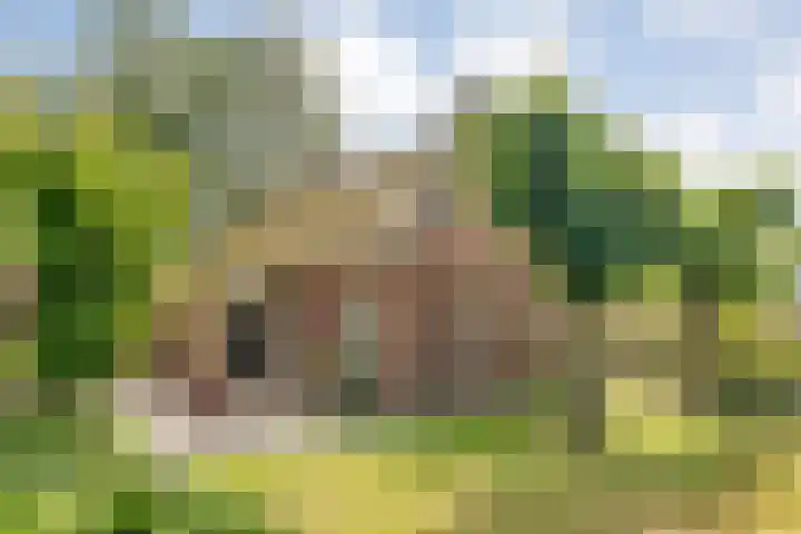 Stapelerveldweg 6 de Wijk thumbnail 45