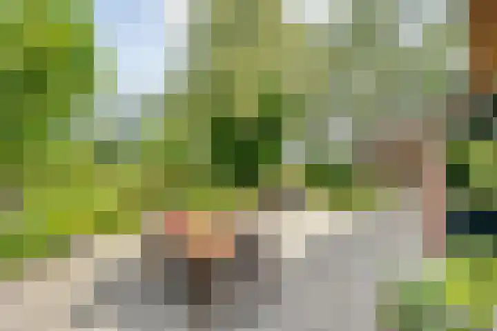 Stapelerveldweg 6 de Wijk thumbnail 46