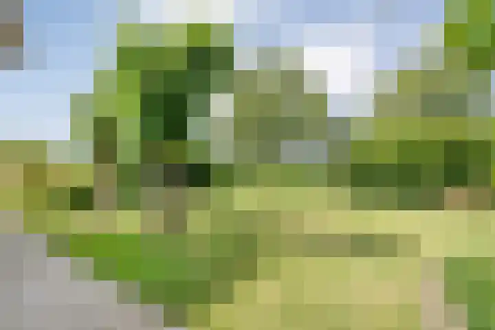 Stapelerveldweg 6 de Wijk thumbnail 47