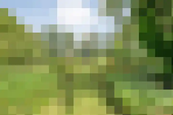 Stapelerveldweg 6 de Wijk thumbnail 48