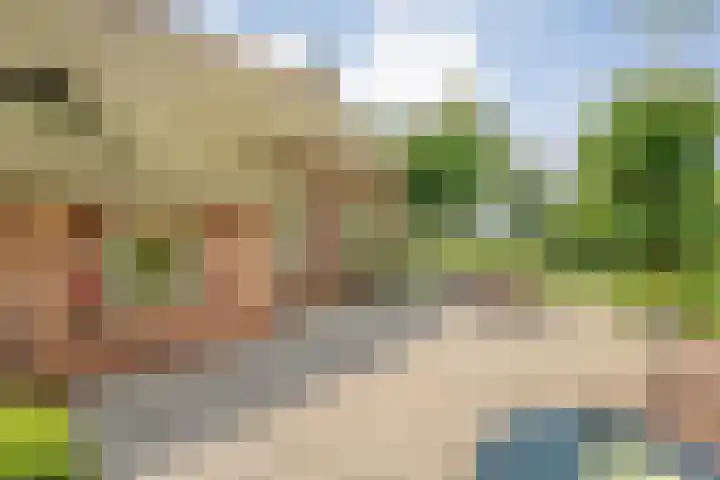Stapelerveldweg 6 de Wijk thumbnail 49