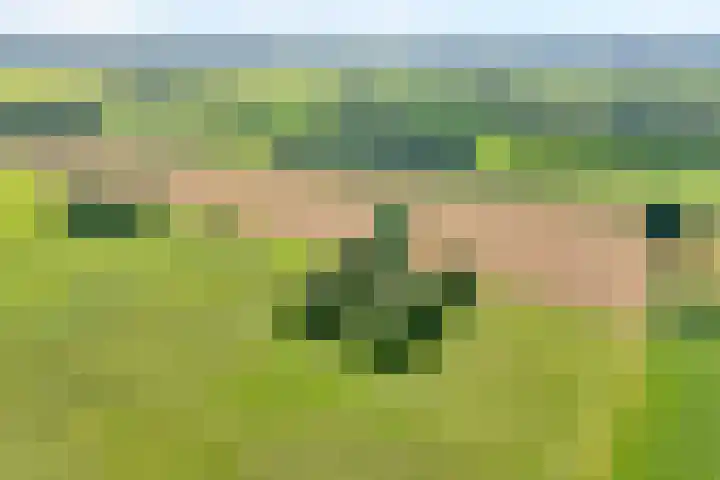Stapelerveldweg 6 de Wijk thumbnail 5