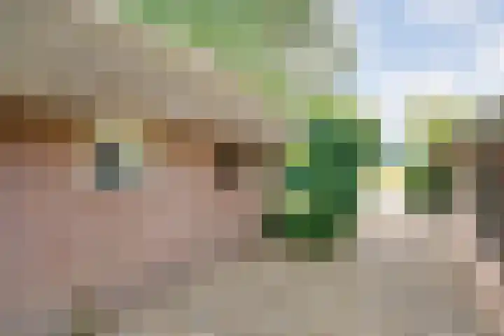 Stapelerveldweg 6 de Wijk thumbnail 50