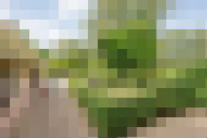 Stapelerveldweg 6 de Wijk thumbnail 51
